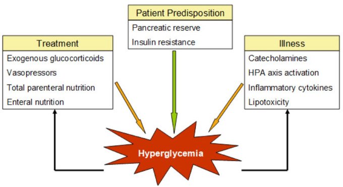 abbotts-cgm-heart-hospitalization-risk-9387.jpeg