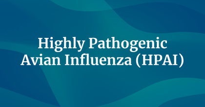 aha-health-tech-rfi-images-6680.png