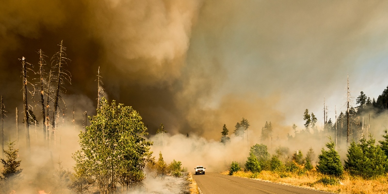 apocalypse-reading-list-images-7863.jpeg