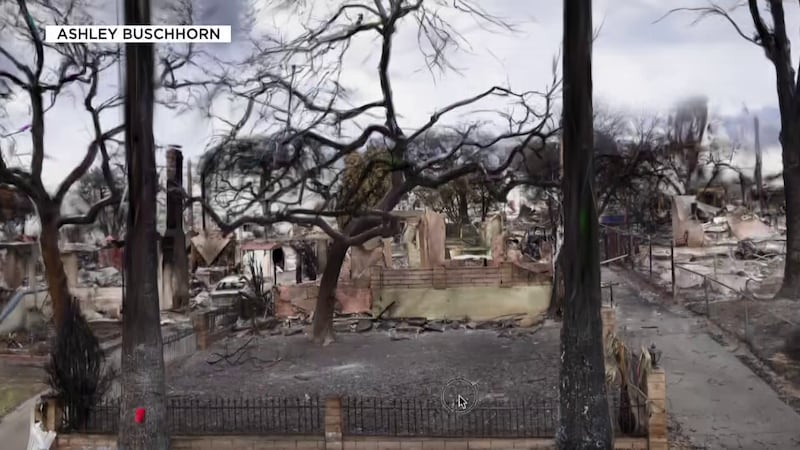 asu-3d-wildfire-aftermath-images-5756.jpeg