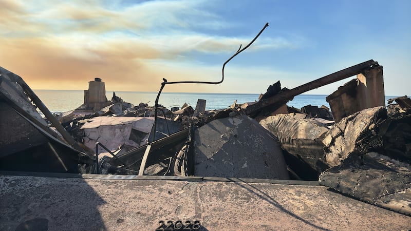 asu-3d-wildfire-aftermath-images-8673.jpeg