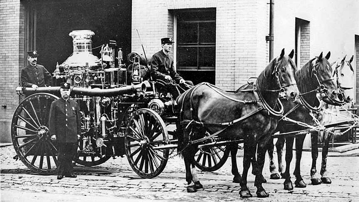 cape-cod-horses-healing-responders-stress-5294.jpeg
