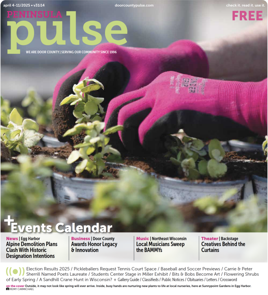 dc-pulse-2025-dcedc-award-winners-1993.png