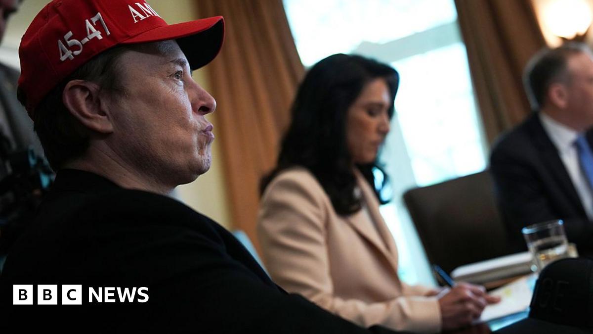 elon-musk-white-house-impact-4930.jpeg