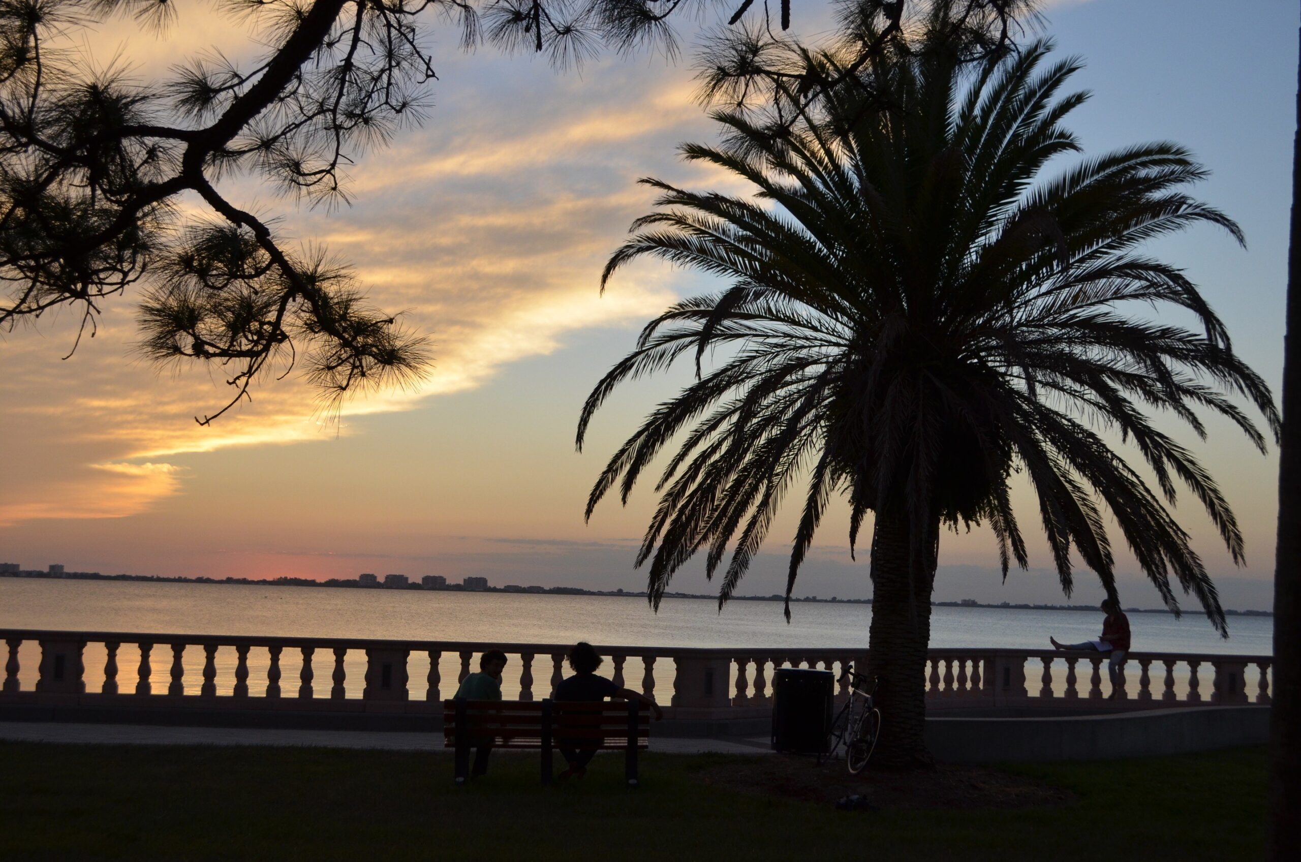 fall-arts-events-sarasota-fl-5429.jpg
