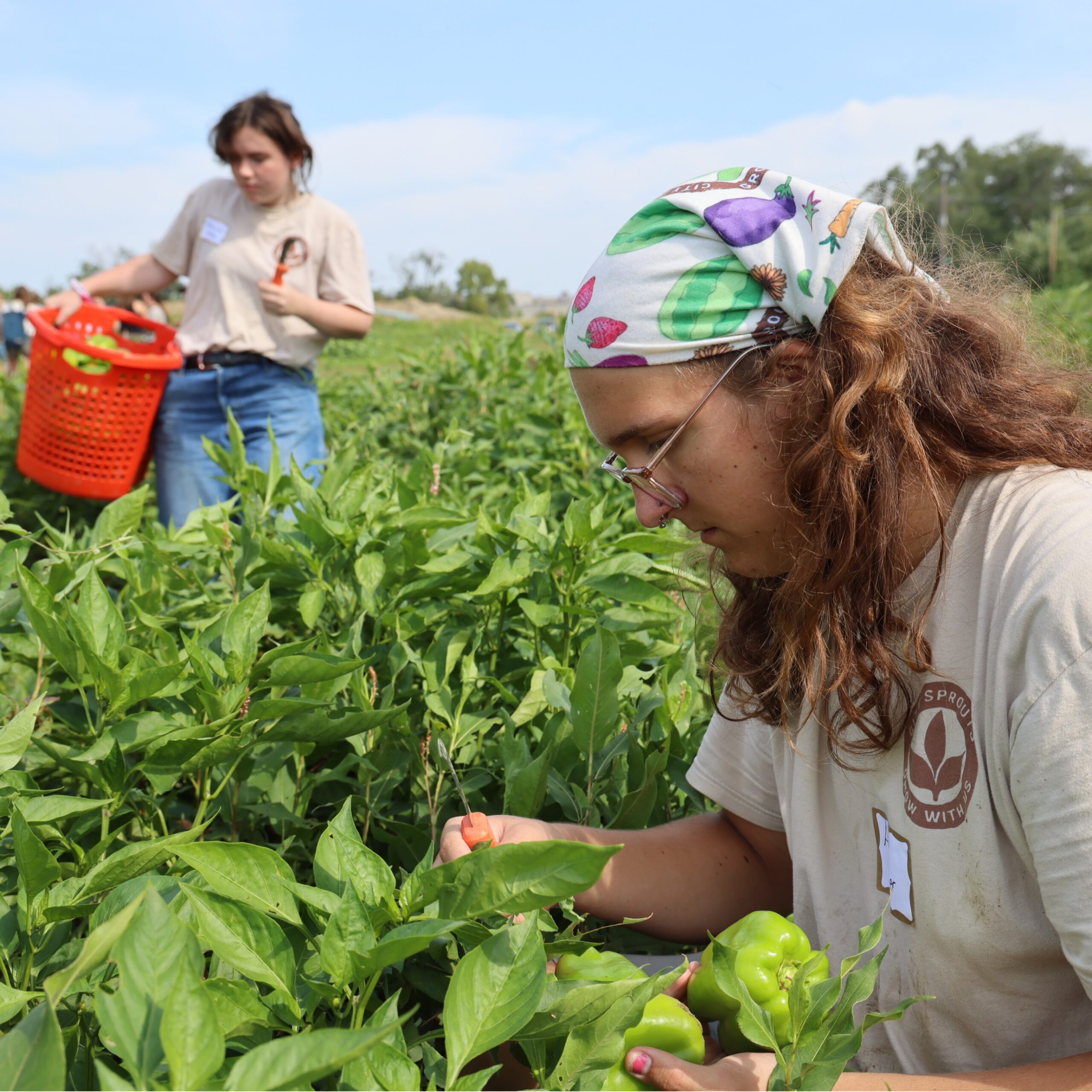farm-food-business-workshop-unl-event-1603.jpeg