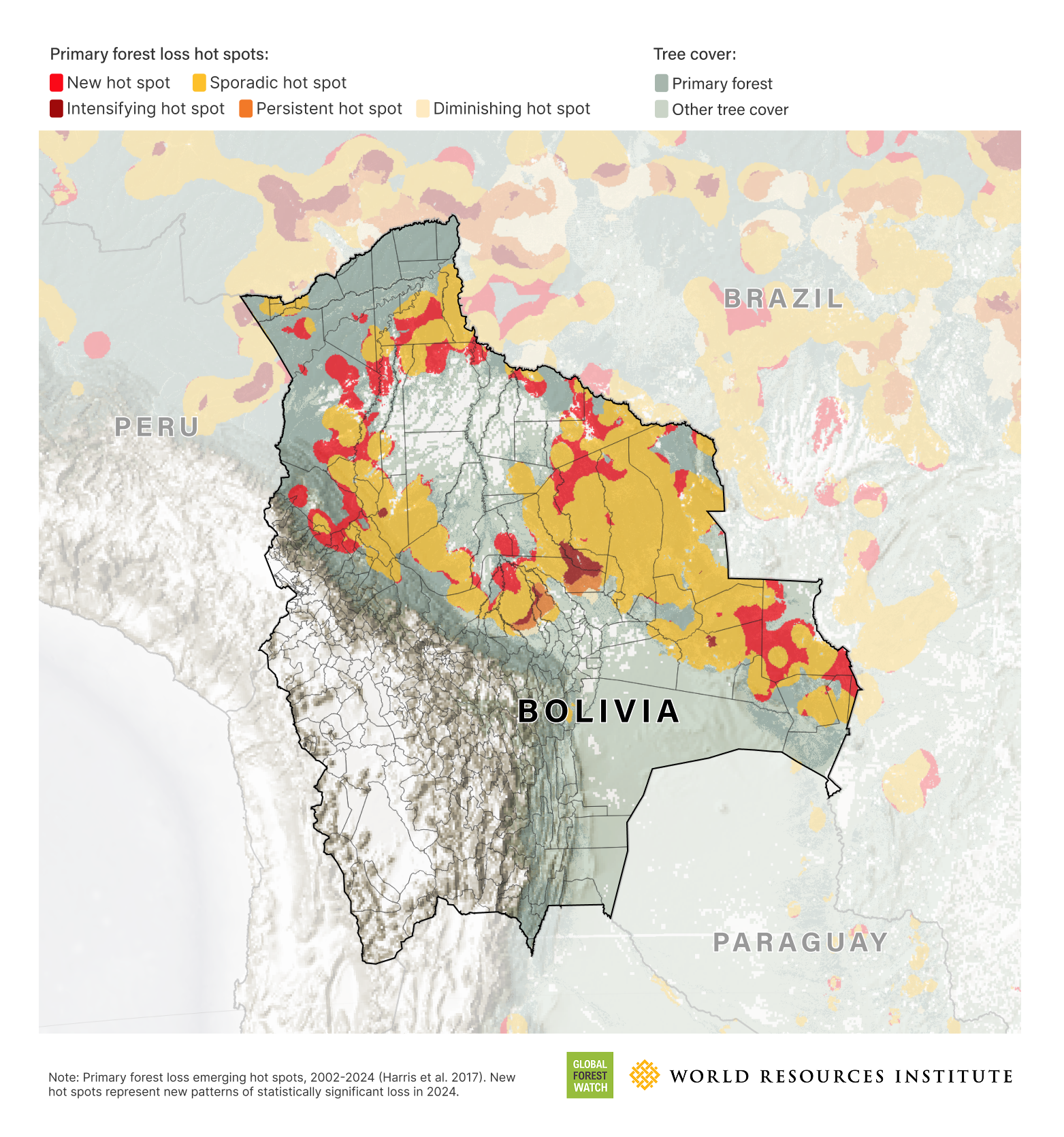 forest-loss-record-2024-the-new-york-times-2762.png