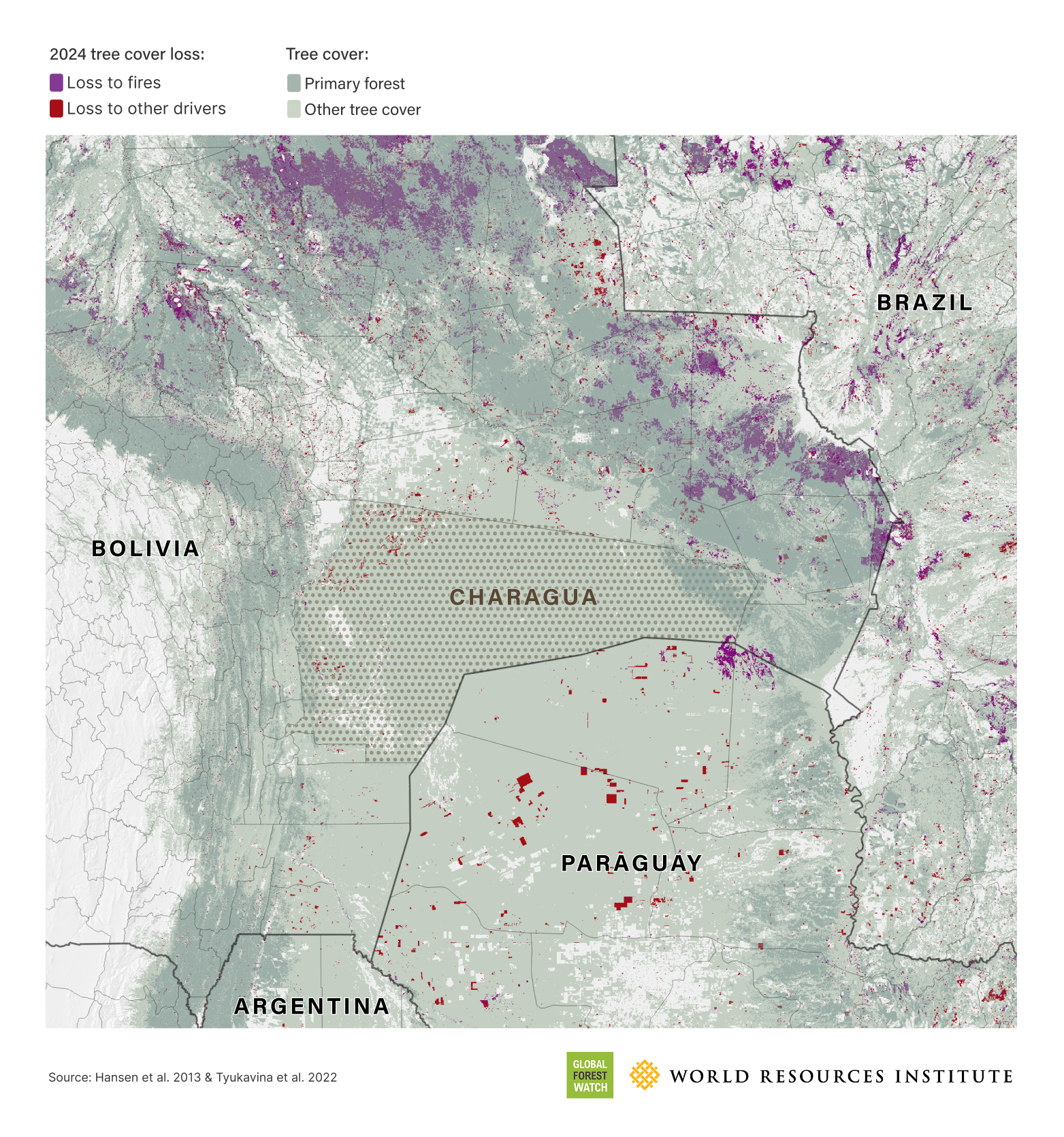 forest-loss-record-2024-the-new-york-times-3117.png
