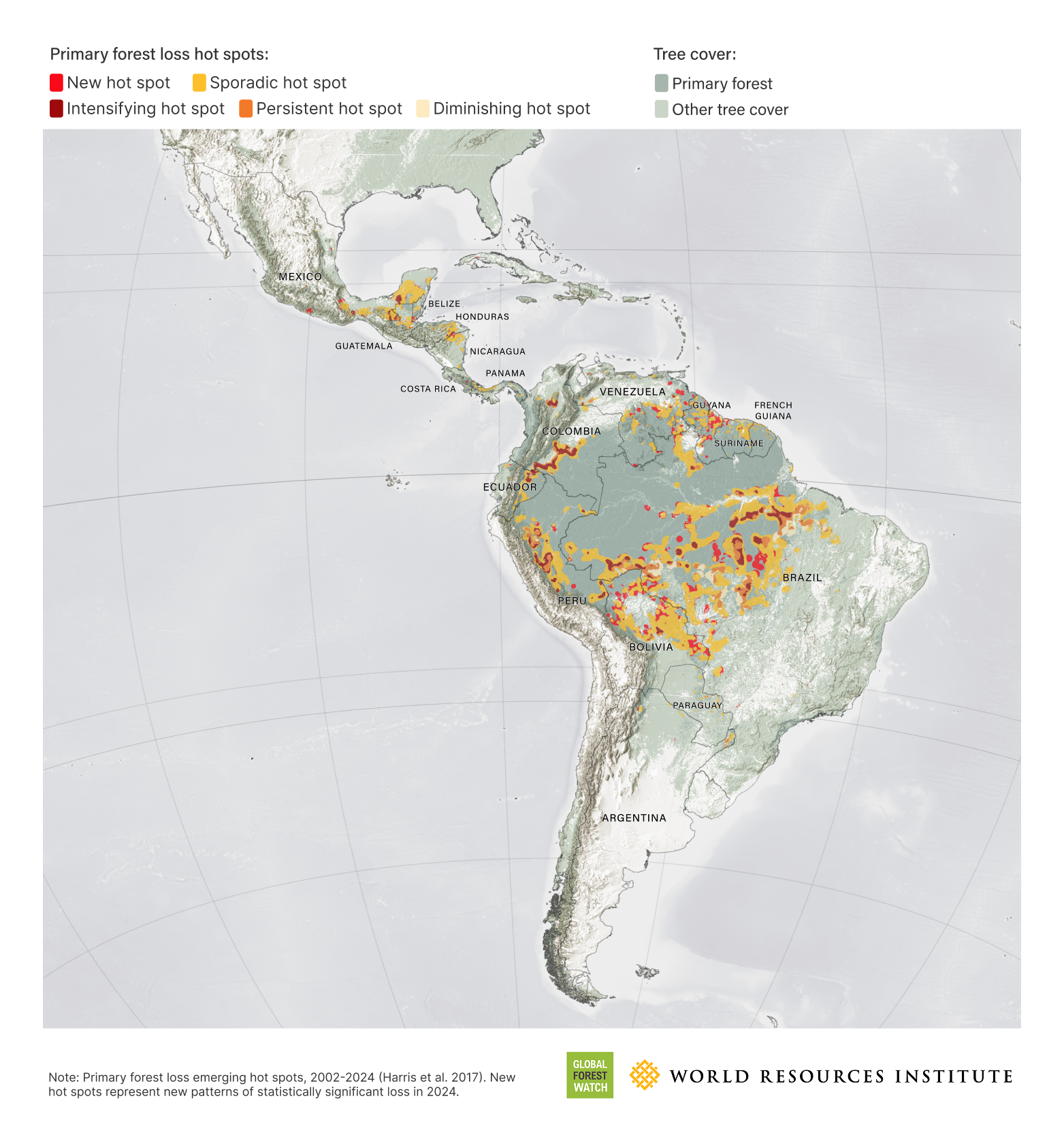 forest-loss-record-2024-the-new-york-times-4770.png
