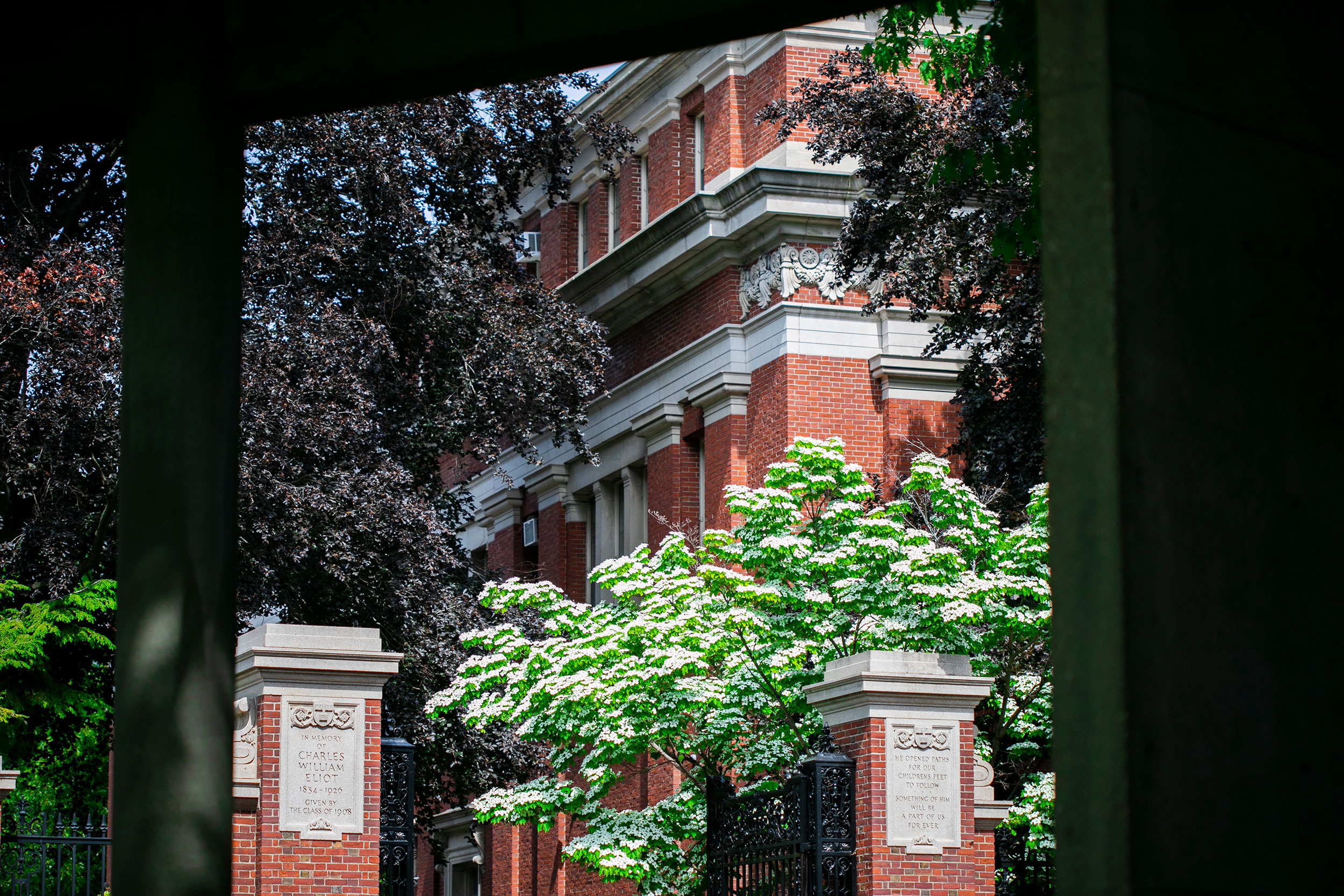 harvard-business-school-leadership-fellows-2025-0327.jpeg