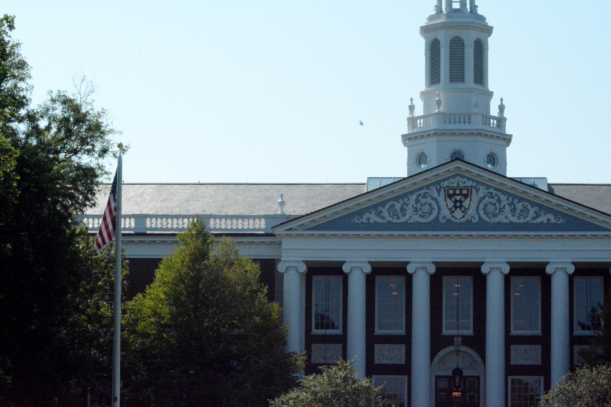 harvard-gino-tenure-revoked-8111.jpeg