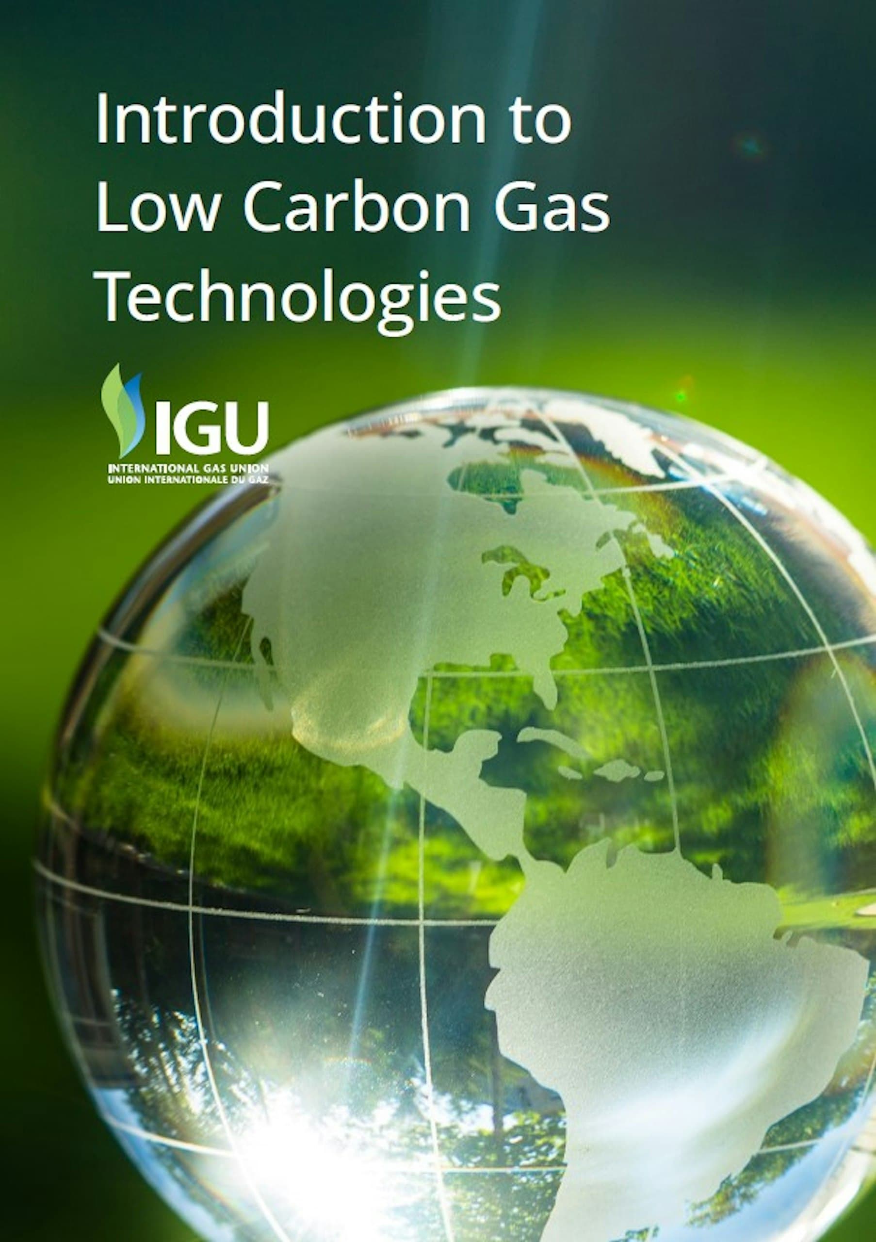 lng-report-2025-igu-1106.jpeg
