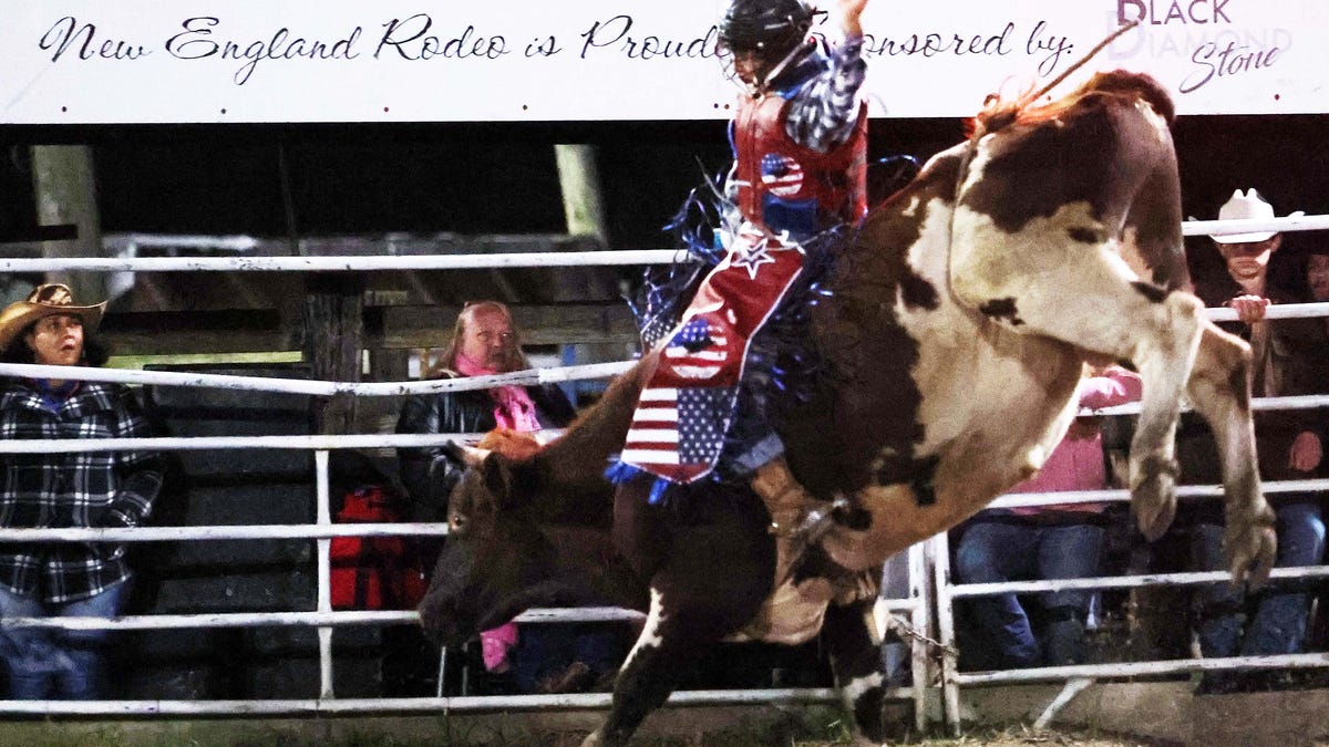 new-england-rodeo-rochester-1109.jpeg