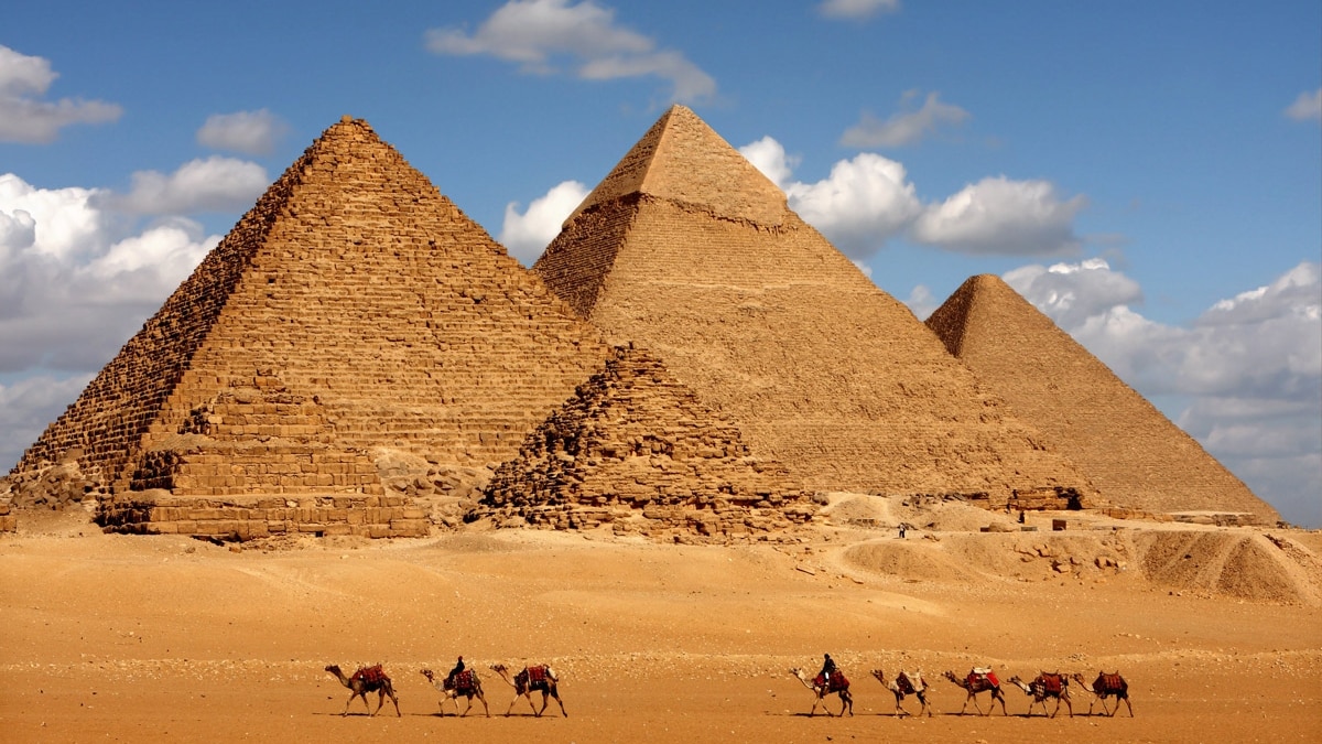 nile-entertainment-son-soil-1028.jpeg