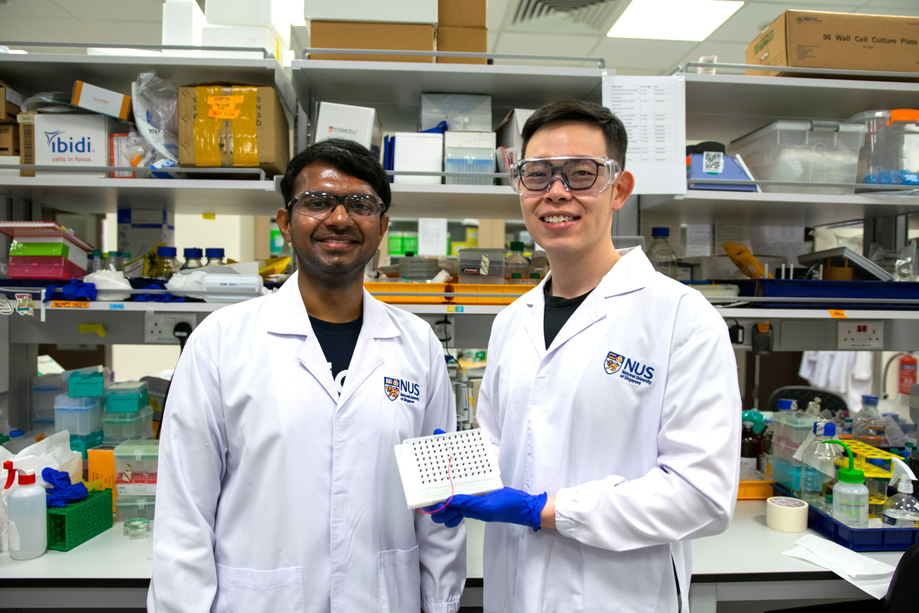nus-gene-delivery-breakthrough-immune-cells-4242.jpeg