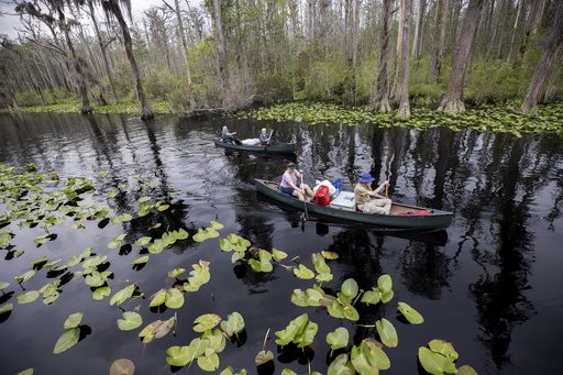 okefenokee-swamp-world-heritage-2122.jpeg