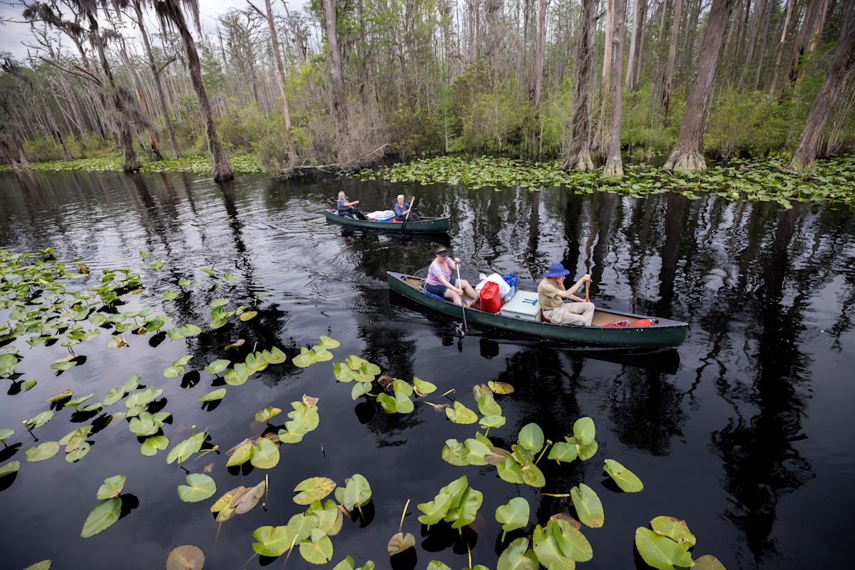 okefenokee-swamp-world-heritage-3230.jpeg