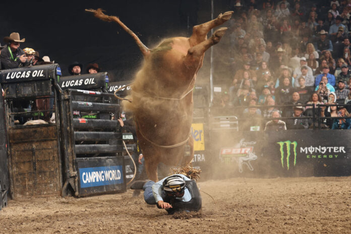 pbr-world-finals-2025-day2-startings-3519.jpeg