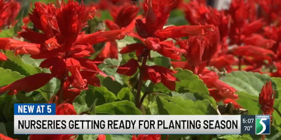 people-planting-wnem-nurseries-0739.jpeg