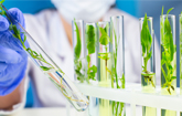protalix-biotherapeutics-q1-2025-financial-results-3517.jpeg