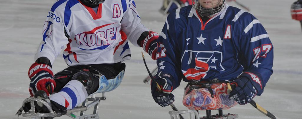 us-para-hockey-world-title-2447.jpeg