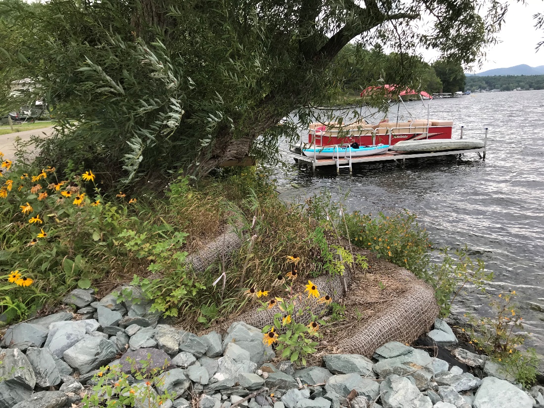 vermont-shoreland-protection-guidance-6482.jpeg