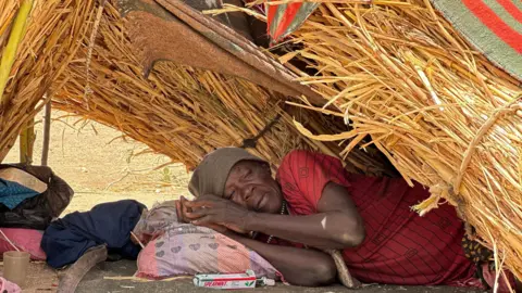 world-court-sudan-uae-darfur-6818.webp