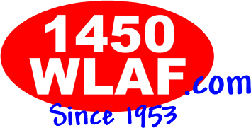 ceramic-dalmatian-entertainment-wlaf-6069.png