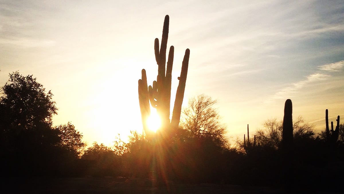 laveen-entertainment-venue-images-8007.jpeg