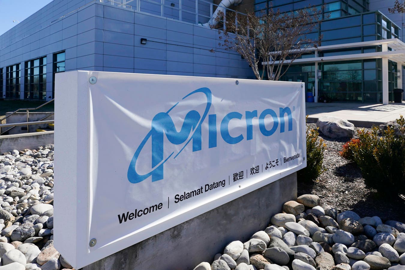 micron-technology-earnings-stock-5100.jpeg