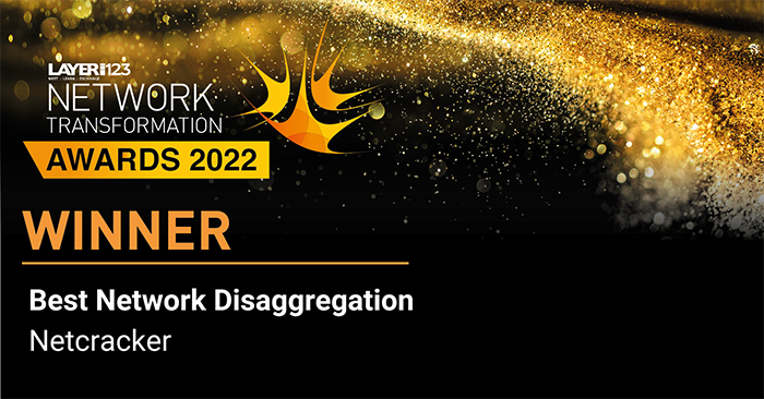 netcracker-stevies-awards-2025-8064.png