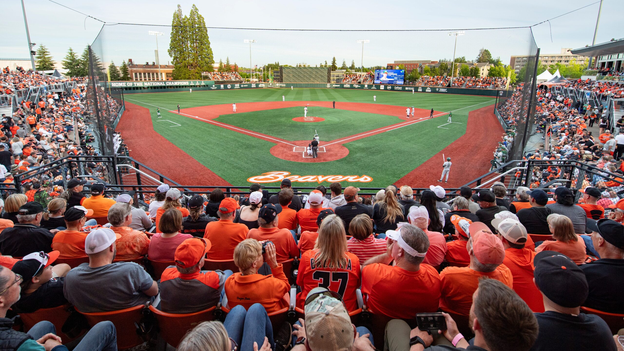 oregon-state-baseball-omaha-win-1800.jpeg