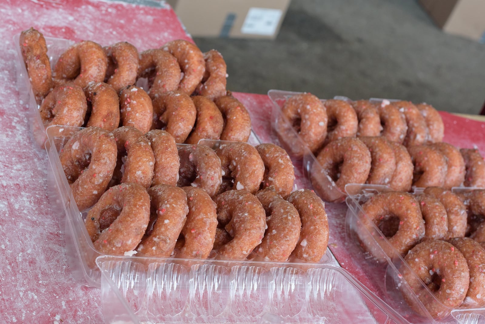 troy-strawberry-festival-2023-8135.jpeg
